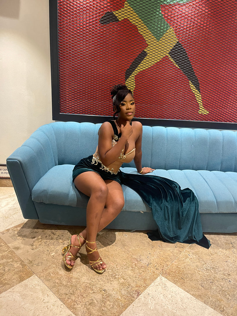 Velvet Dreams | Birthday Dress