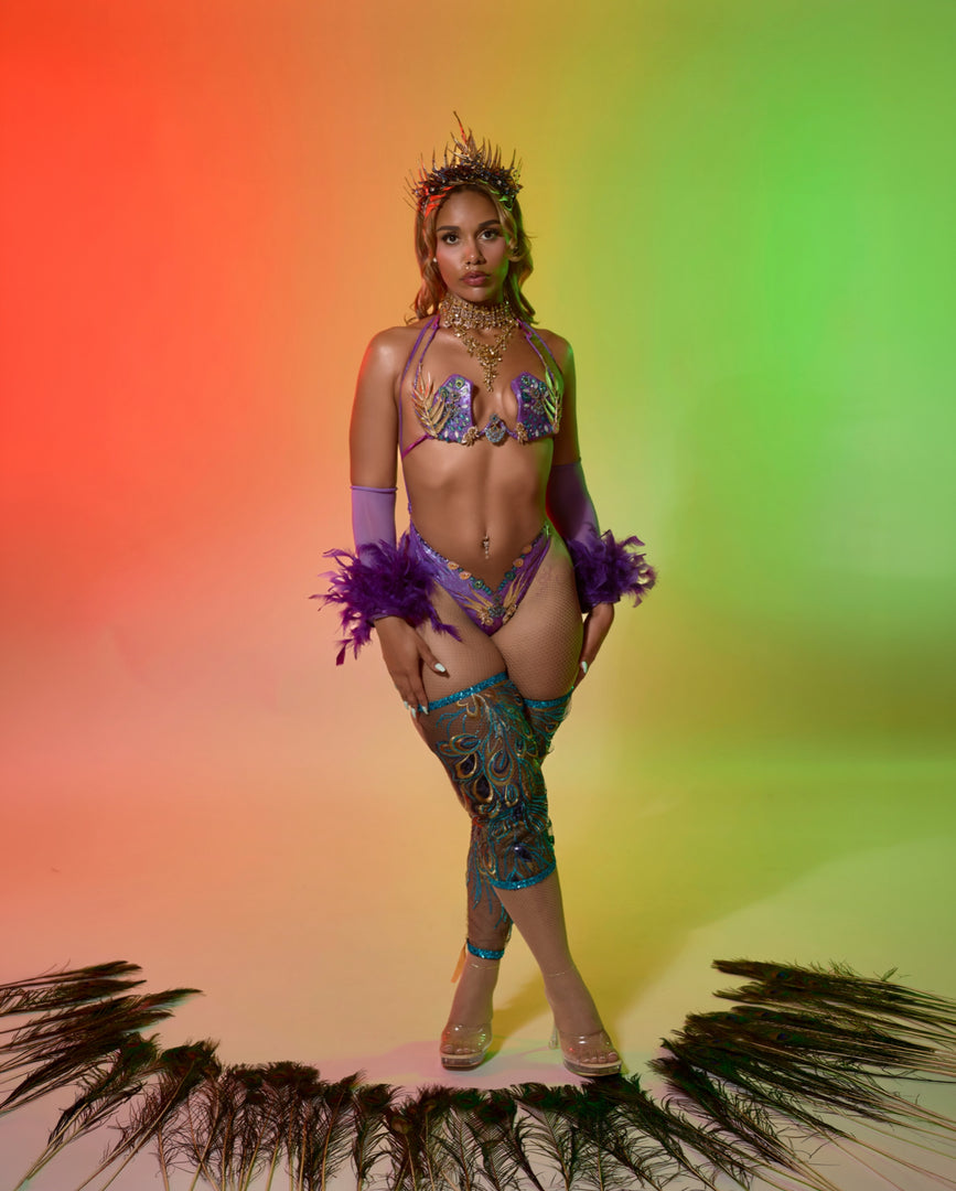 Plume Royale Backline| Carnival Custome